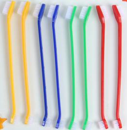 Pet toothbrush 1904005