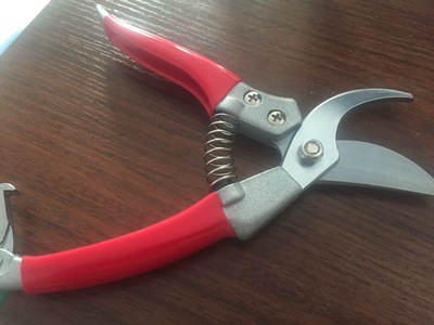 Pruning shears  1903002